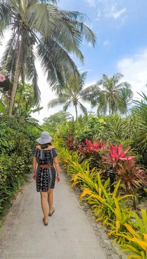 beautiful Pathway Landscaping with Cordyline 
