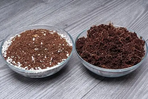 Peat Moss and Coconut Coir