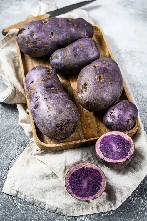 Ornamental Vegetables to grow