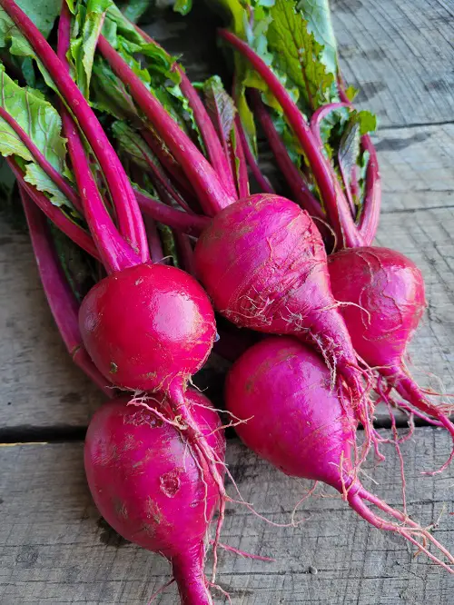 Carrots like vegetables 2