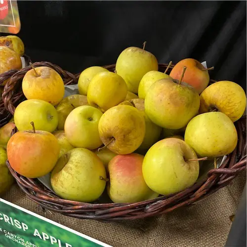 Garden-Used Yellow Apple Varieties