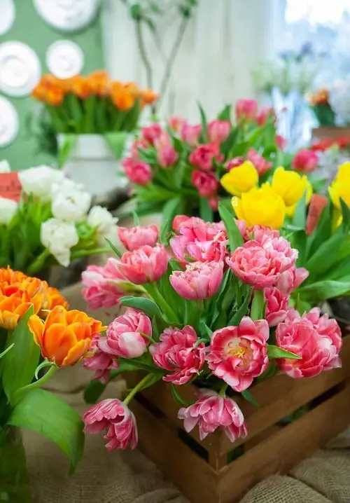Types of Pink Flowers for Garden in pot