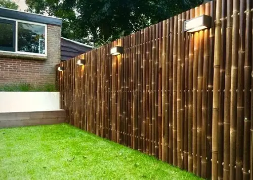 Bamboo Backyard Fence