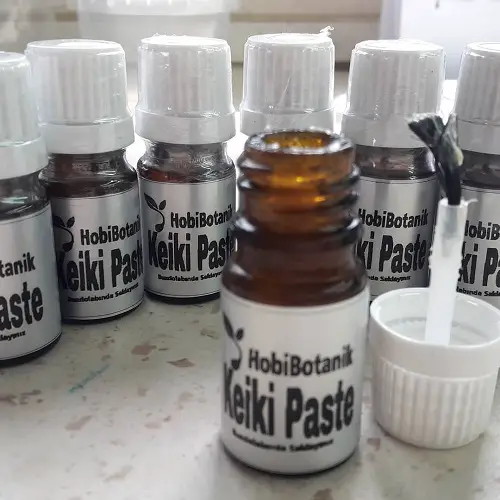 Understanding Keiki Paste