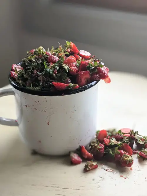 Strawberry Scraps