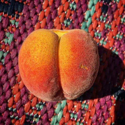 Quirky Plants That Look Like Buttocks