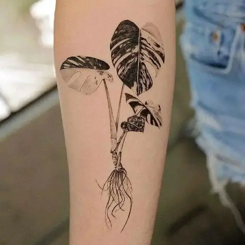Baby Monstera Tattoo