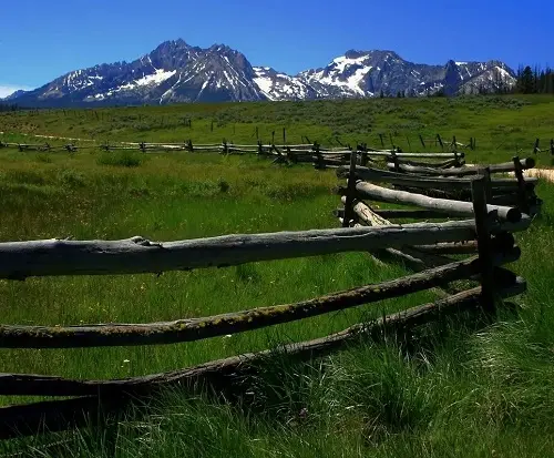 Rustic Log Fence Ideas 26