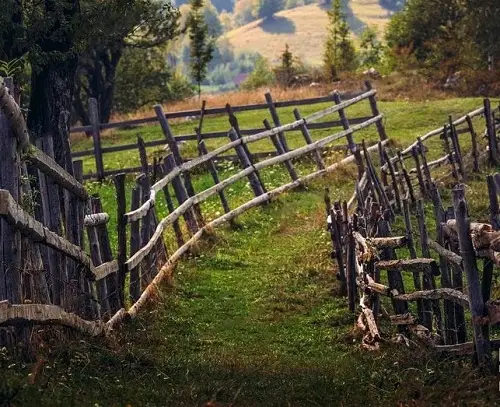 Wood Fence