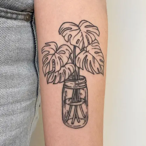 Monstera Growing in Water tattoo
