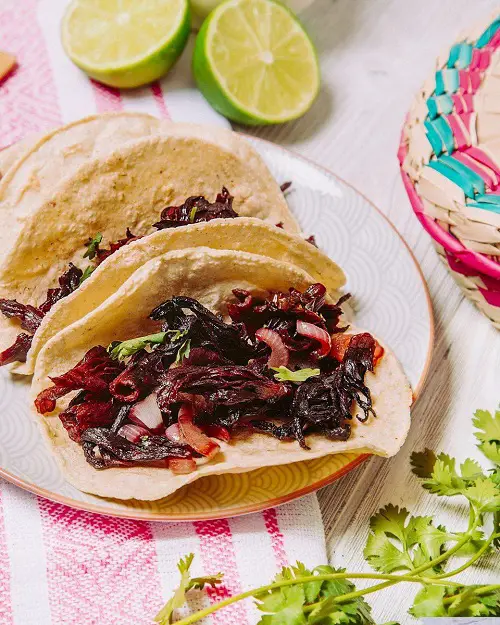 Amazing Dried Hibiscus Flower Uses 2