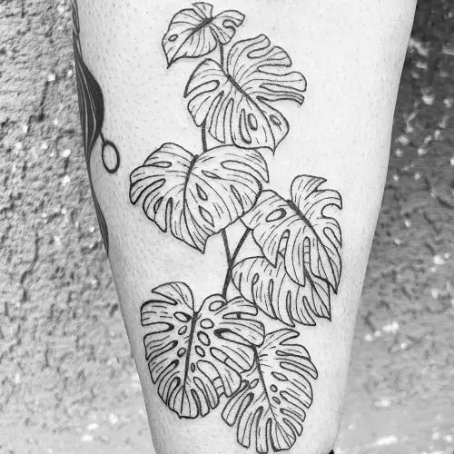 Monstera Deliciousa on the Shin tattoo