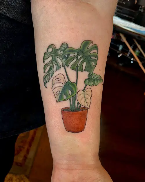 Vibrant Monstera Planter tattoo