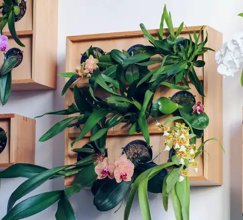 Vertical Wooden Planter for Orchids