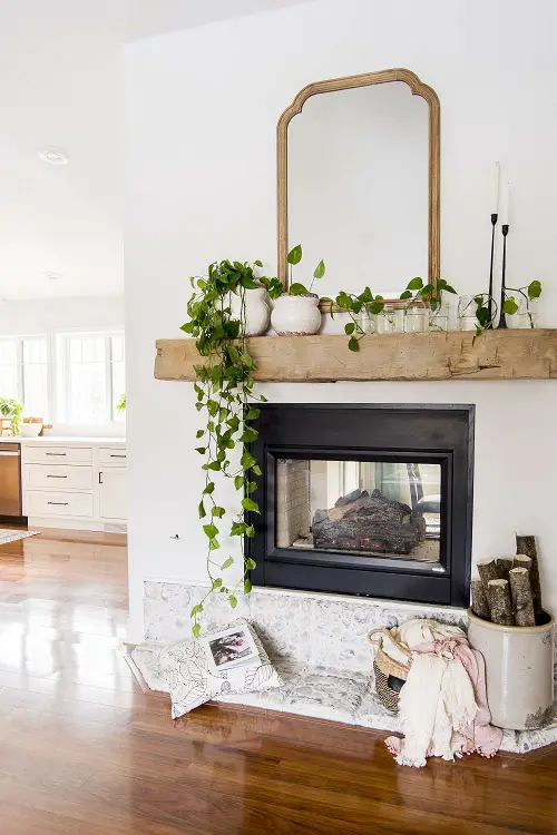 Useful Ways to Display Pothos in Home