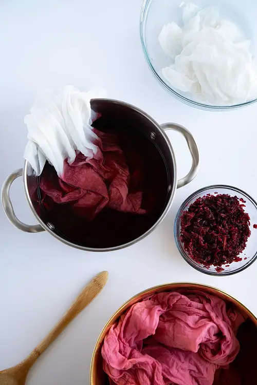 Dried Hibiscus Flower Uses for cloth dye 