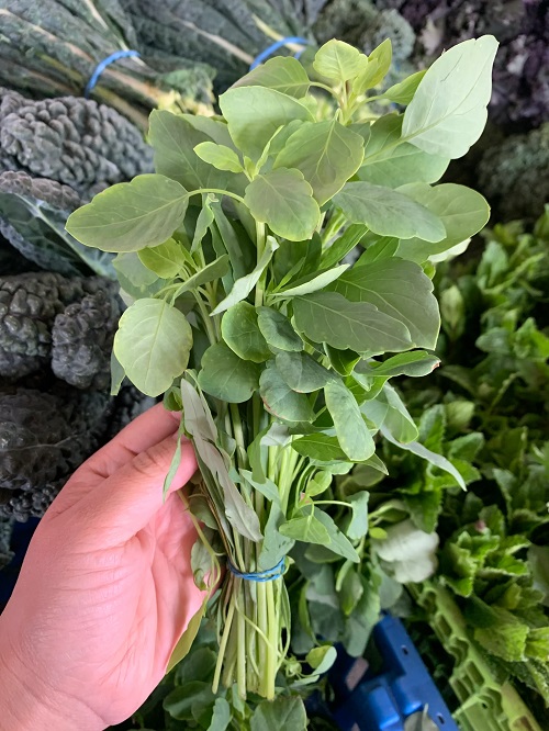 Other Herbs That are Called Cilantro or Coriander