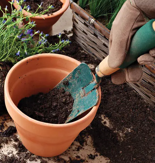Use Vegan Potting Soil