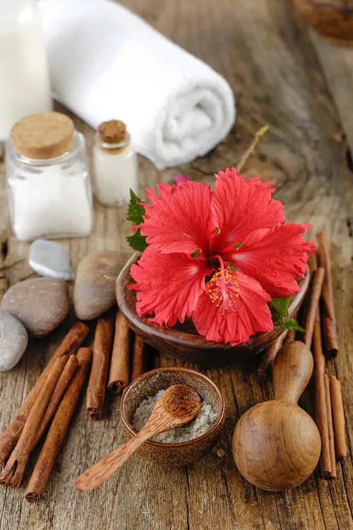 Amazing Dried Hibiscus Flower skin Uses