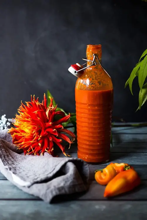 Common household items use in home for pest control 2