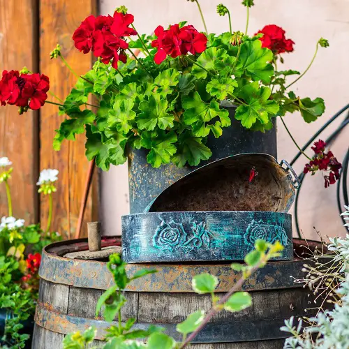Ideas to Display Plants in Upcycled Metal Container Planter