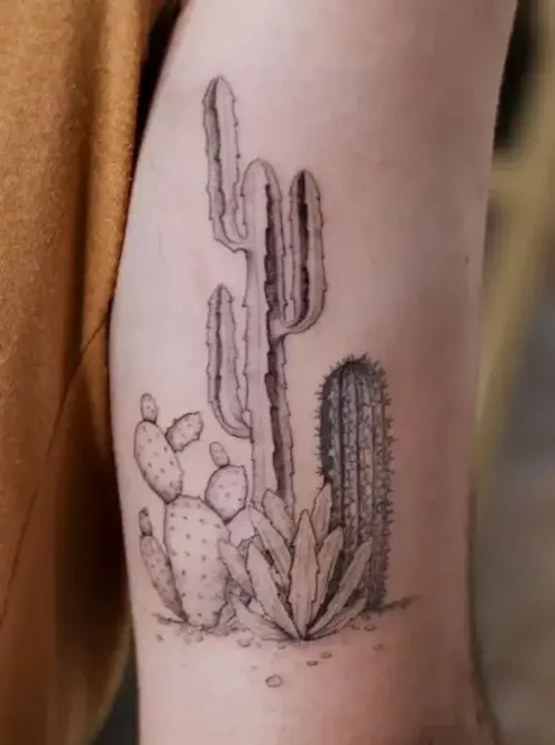 Cactus Collection Tattoo