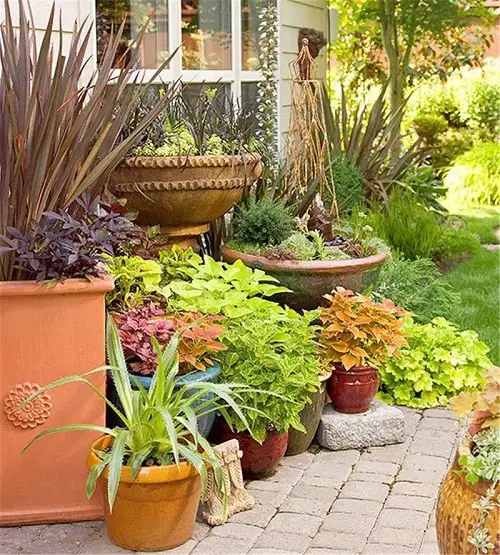 container garden design tips Perfect the Plant-Pot Pairings