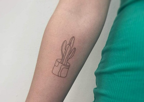Cactus Outline tattoo
