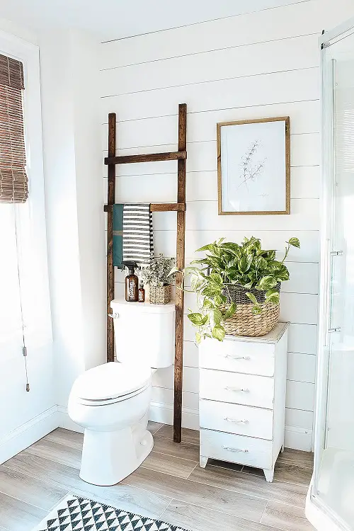 Plants Around Toilet Seat in the Bathroom 27