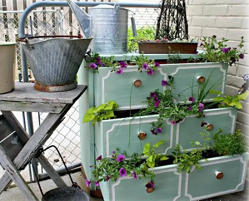 Ideas to Display Plants in Drawers full of Violets