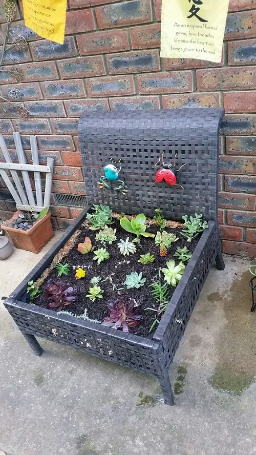 Ideas to Display Plants in New and Old Furniture