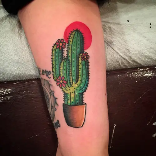 Flowering Cactus and Orange Sun