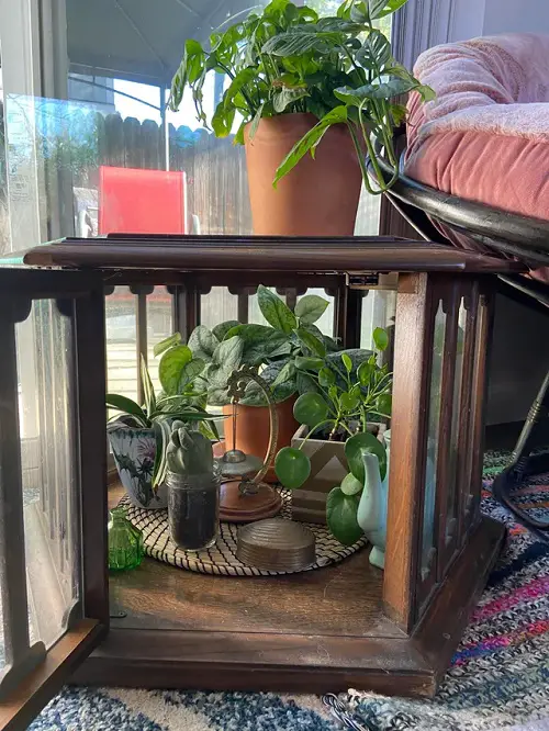 best Ideas to Display Plants in New and Old Furniture