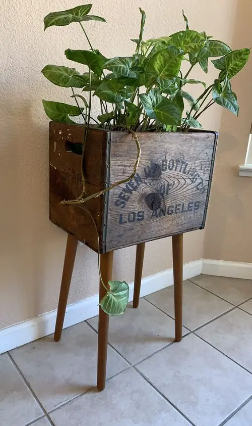 Ideas to Display Plants in Old Crate