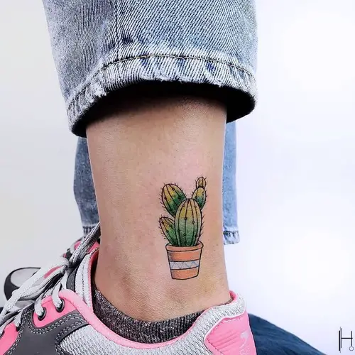 Cactus in a Clay Pot