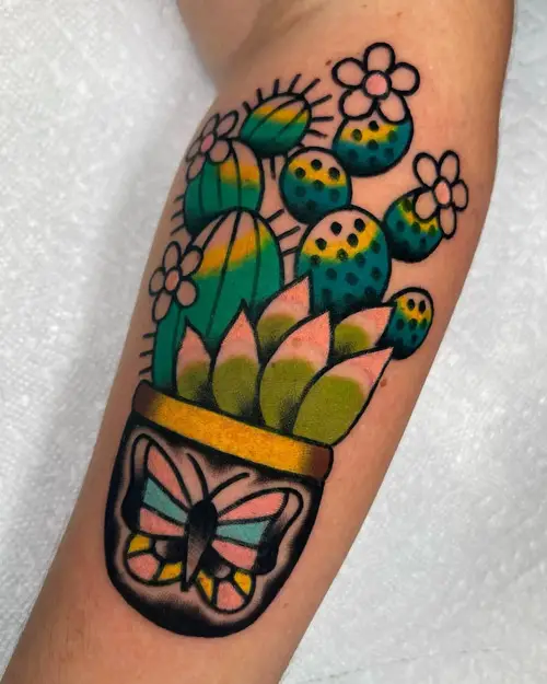 Colorful Cactus with Butterfly on the Pot