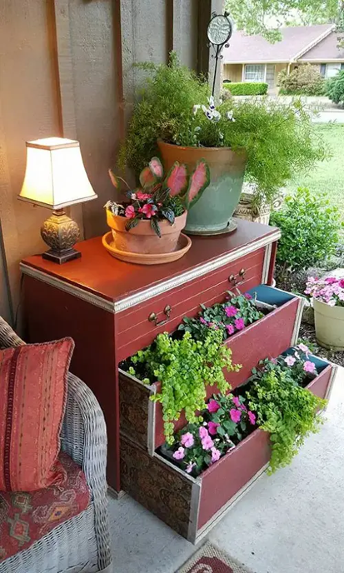 Ideas to Display Plants in Drawer Full of Trailing Varieties
