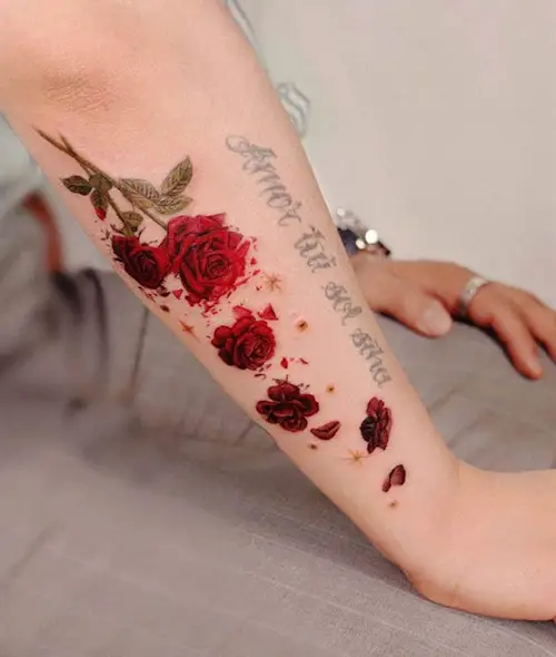 Sleeve of Withering Red Roses