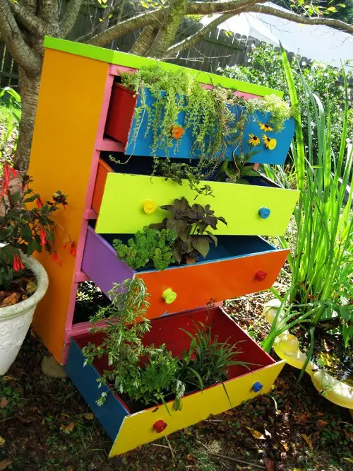 Ideas to Display Plants in Cabinet Showcasing Stunning Colors and Foliage