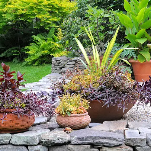 container garden design tips Mix and Match for a Captivating Container Garden