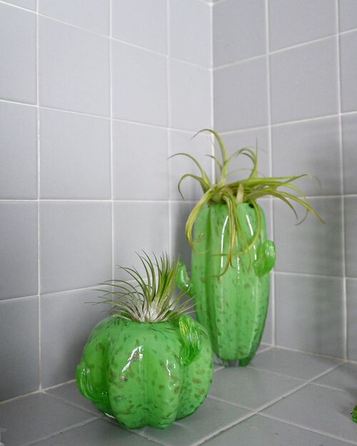 Cute Green Planters For Bathroom Air Plants