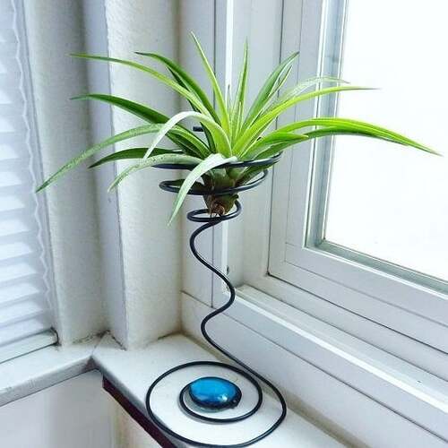 Modern Spiral Planter