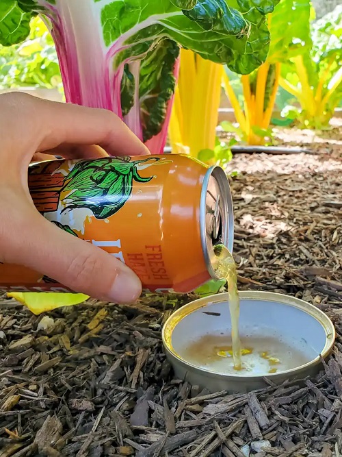 Unconventional Gardening Tricks 35