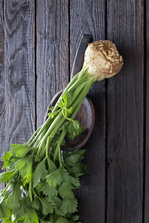 Top Undiscovered Man-Made Vegetables!