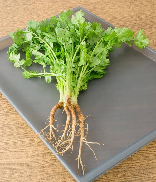 Other Herbs That are Called Cilantro or Coriander