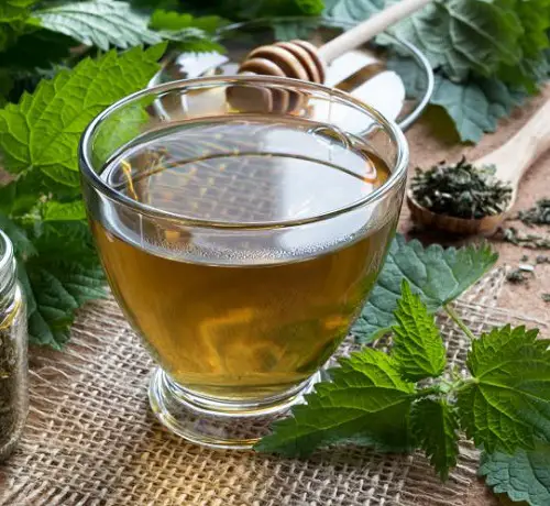 Peace Lily Green Tea
