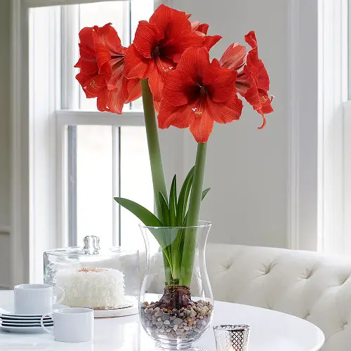 Greatest Water-Resistant Bulbs