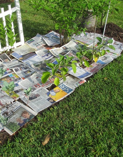 Superb Gardening Tricks for gardeners