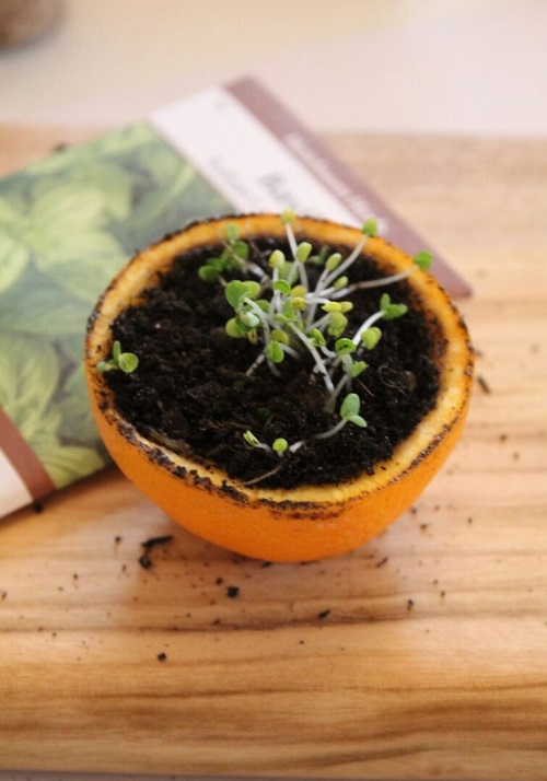 Supereb Gardening Tricks for gardeners
