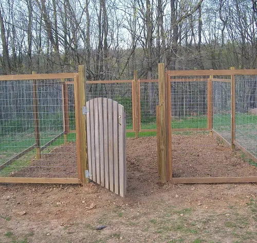Vegetable Garden chicken wire Fence Ideas 9